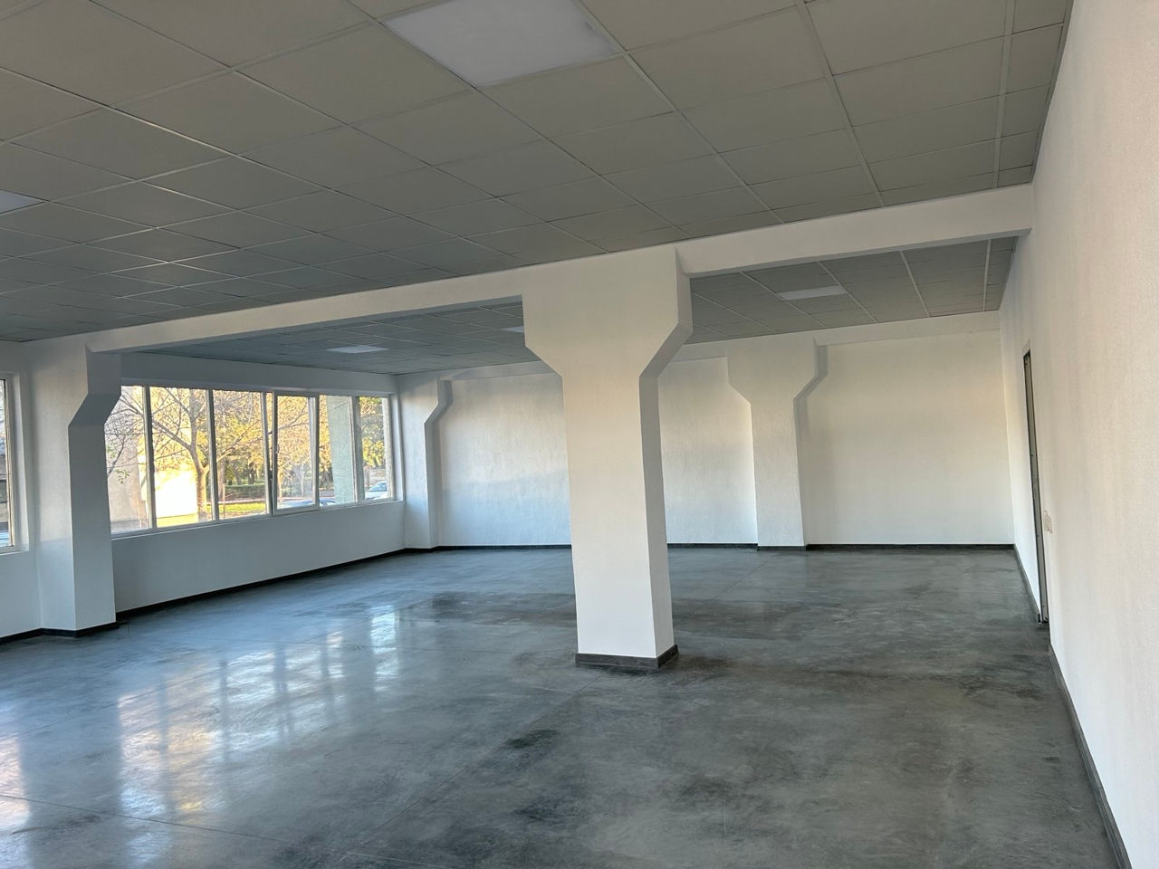 Аренда офиса в Бельцах, 55 кв.м., этаж 1, 12500 лей , ул. Mihai Viteazul, 18 фото 0