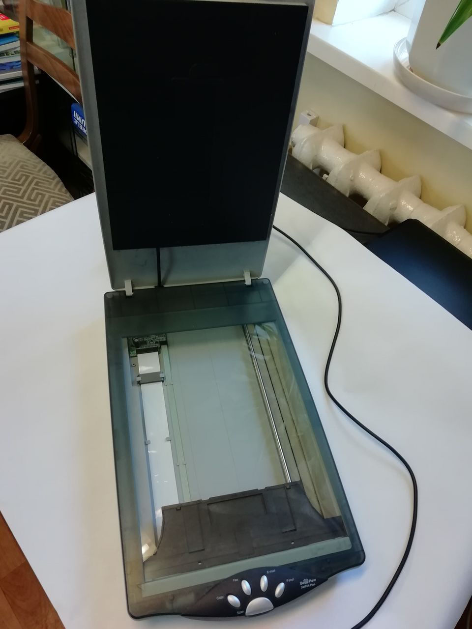 Bearpaw Scanner