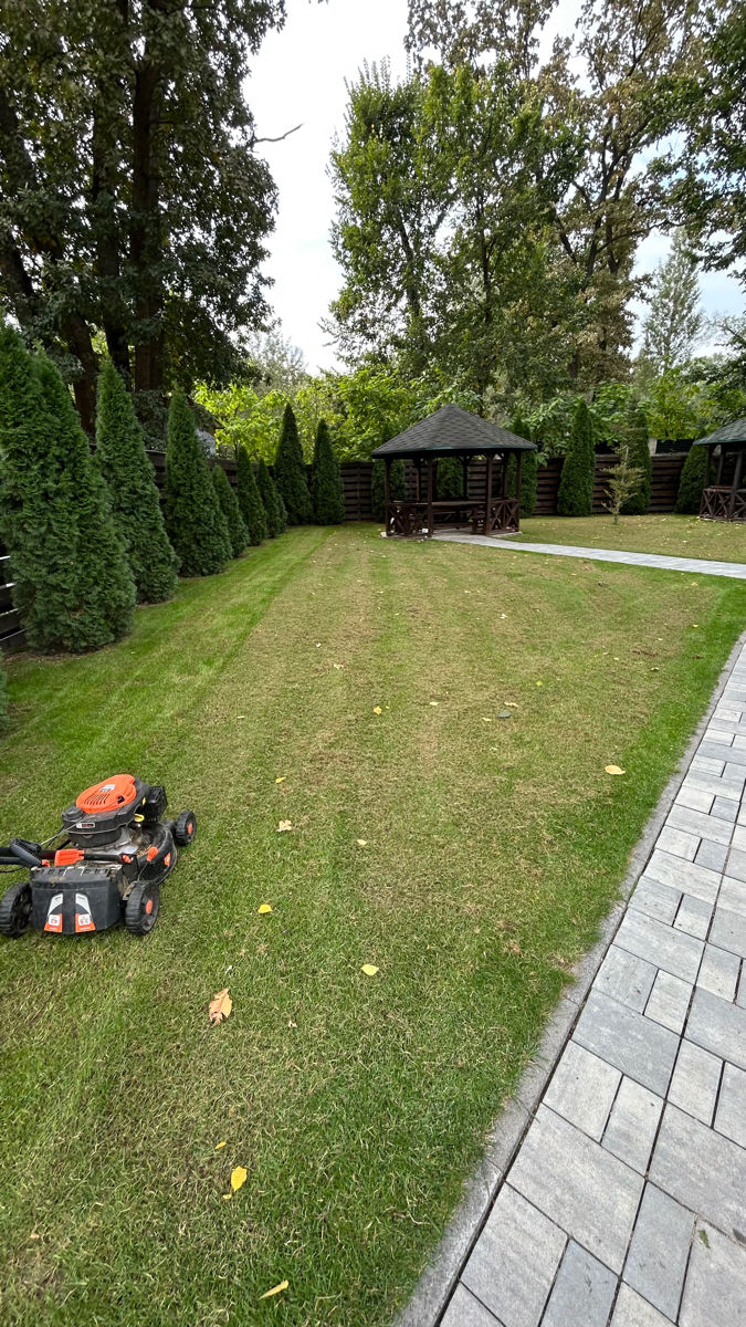 Scarificare / aerare gazon / servicii grădinărit foto 1