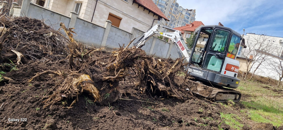 Servicii curățate terenuri foto 18