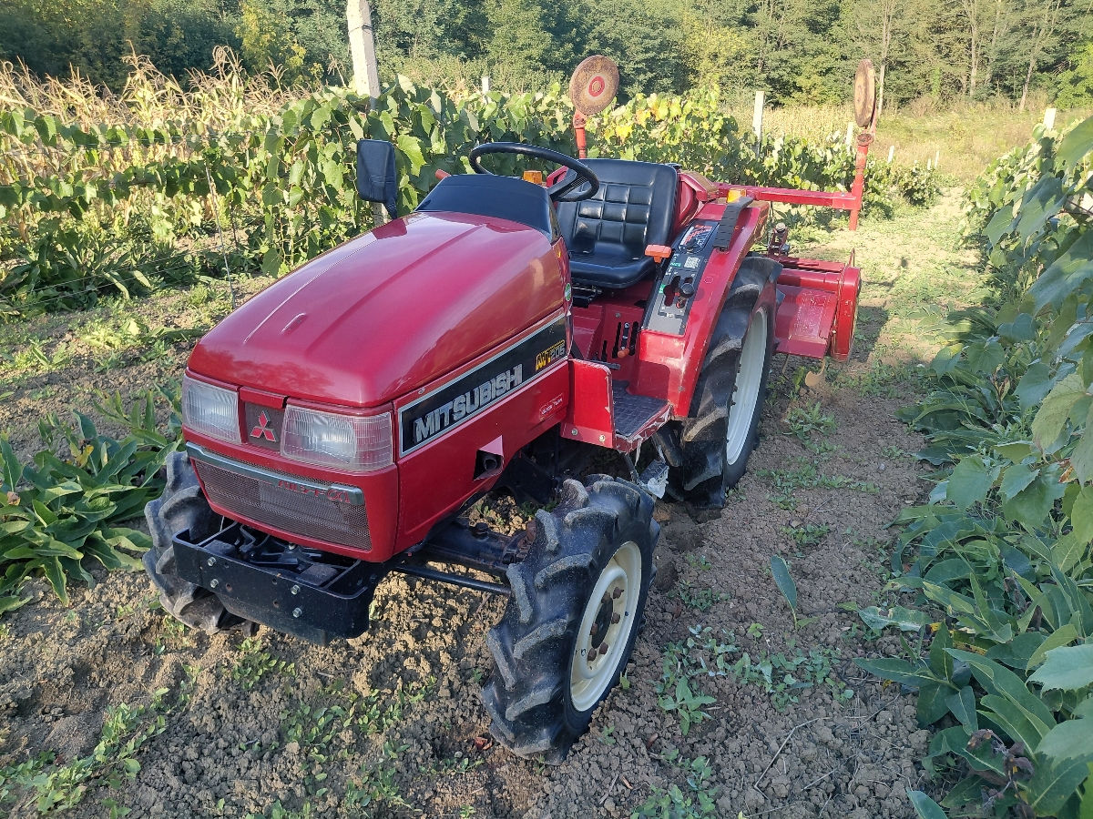 Vind japonez recent importat 20 cai