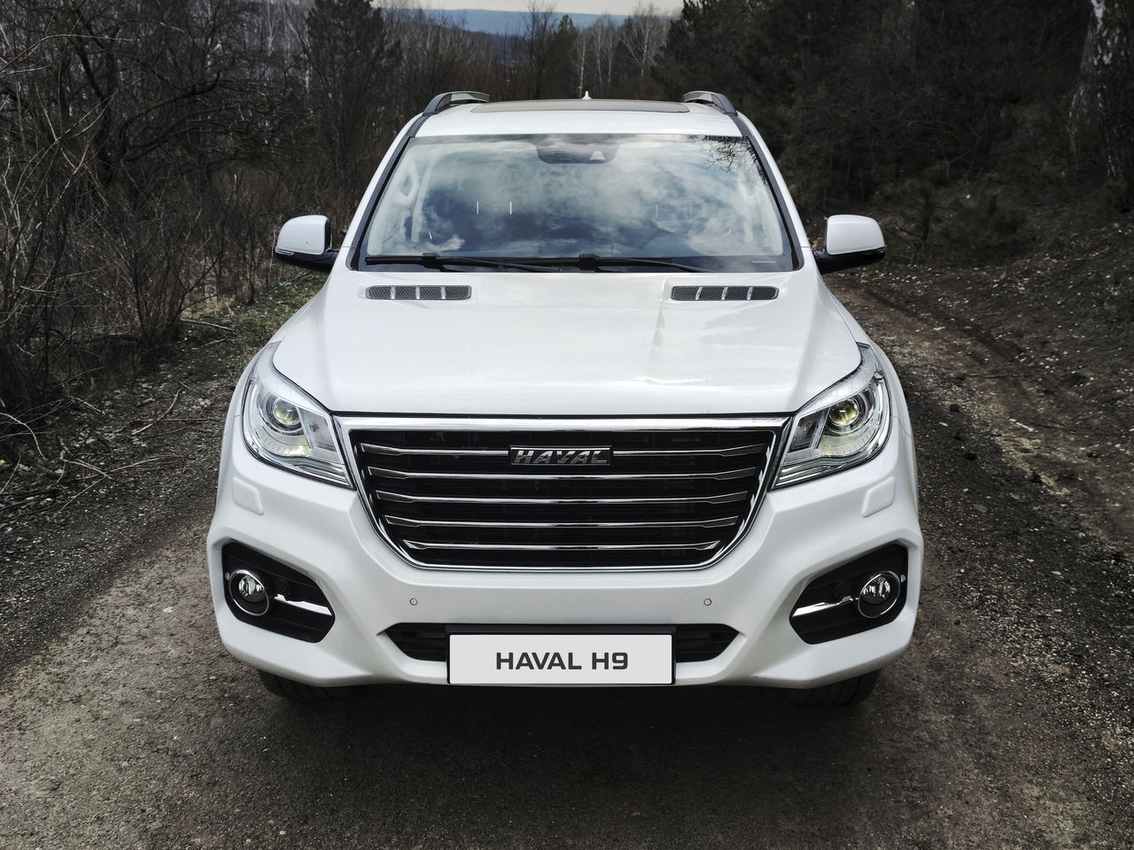 Haval H9