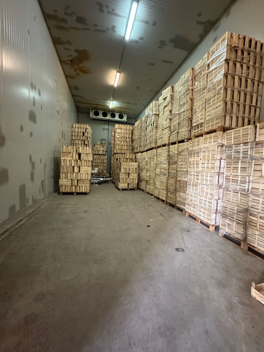 Depozit cu camere frigorifice de vânzare – Zona industrială foto 8