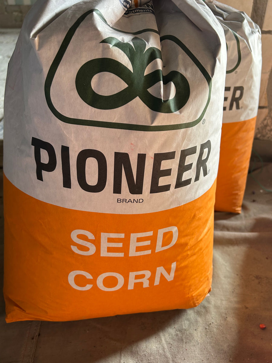 Se vinde porumb pioneer 9889 tratat cu insecticid bun  foto 1