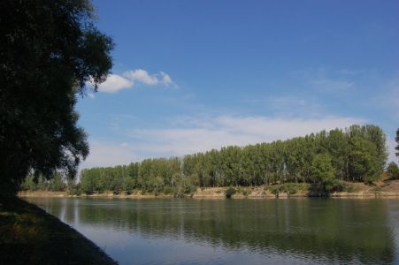Продается срочно отличный участок в 14 соток под строительство рядом с рекой Днестр. разумный торг фото 2