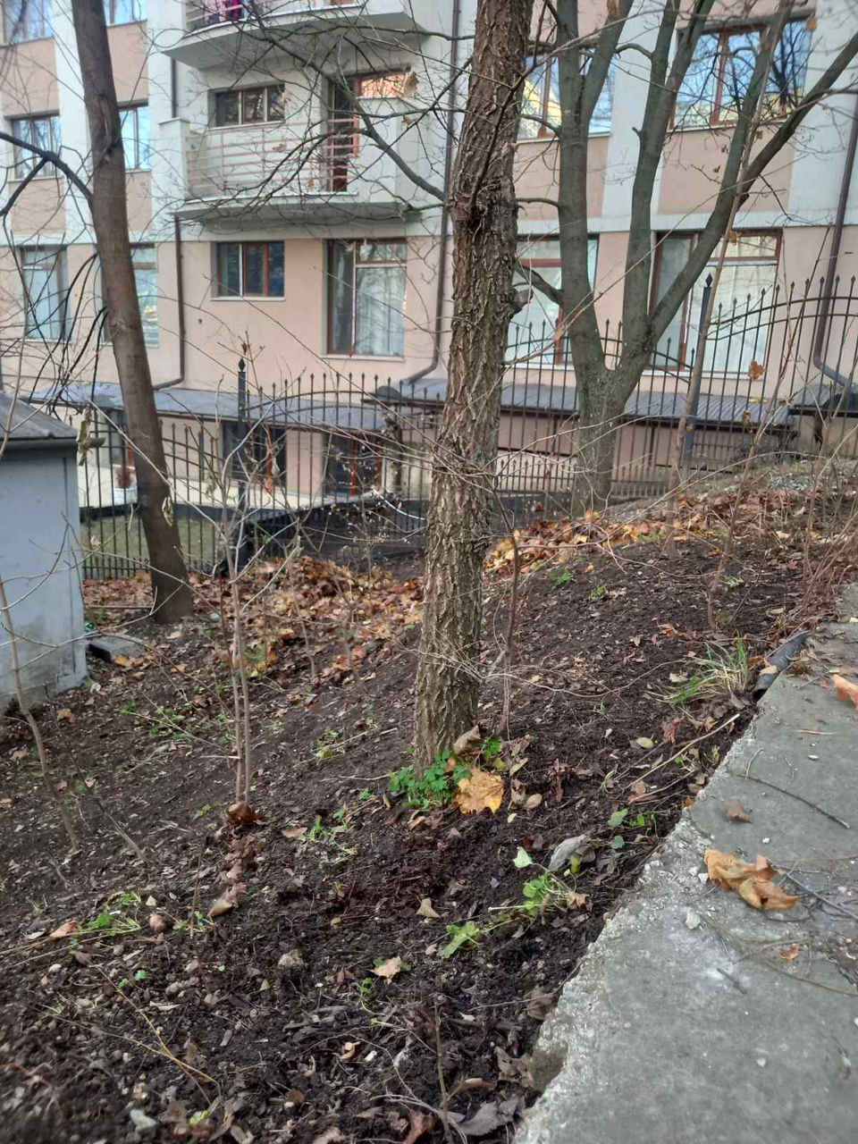 Услуги по уборке территории foto 6
