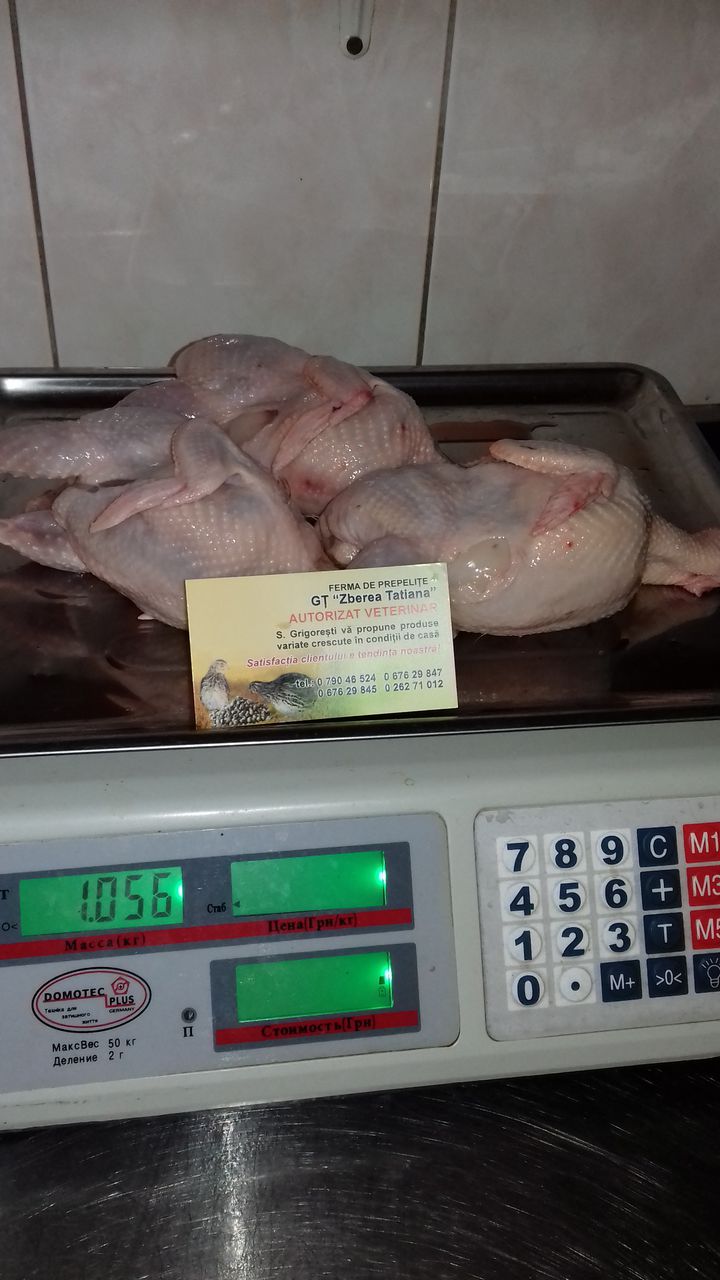 Oua incubatie  Jigantul Alb de Moscova-600gr.balti. фото 3