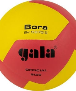 Mingi pentru volei si baschet, GALA foto 7