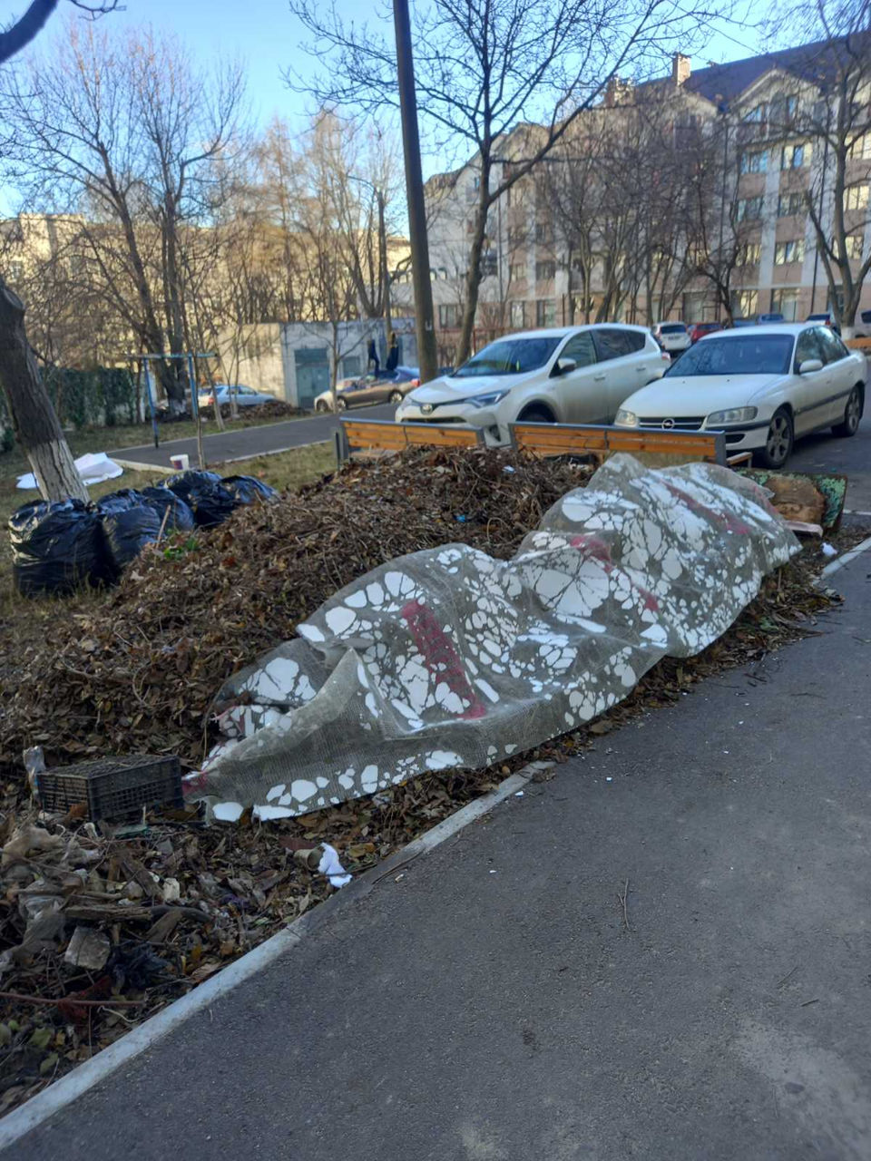 Услуги по уборке территории foto 7