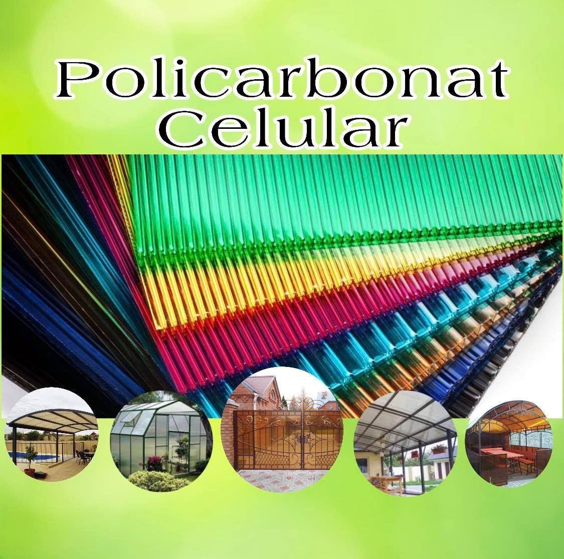 Policarbonat  /  accesorii in culori foto 2