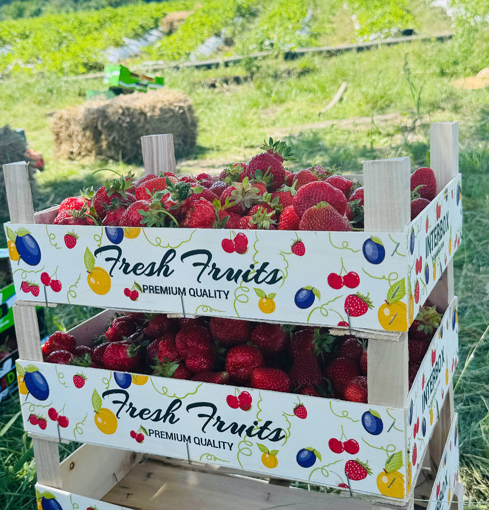 Ladite din lemn si carton pentru fructe foto 1