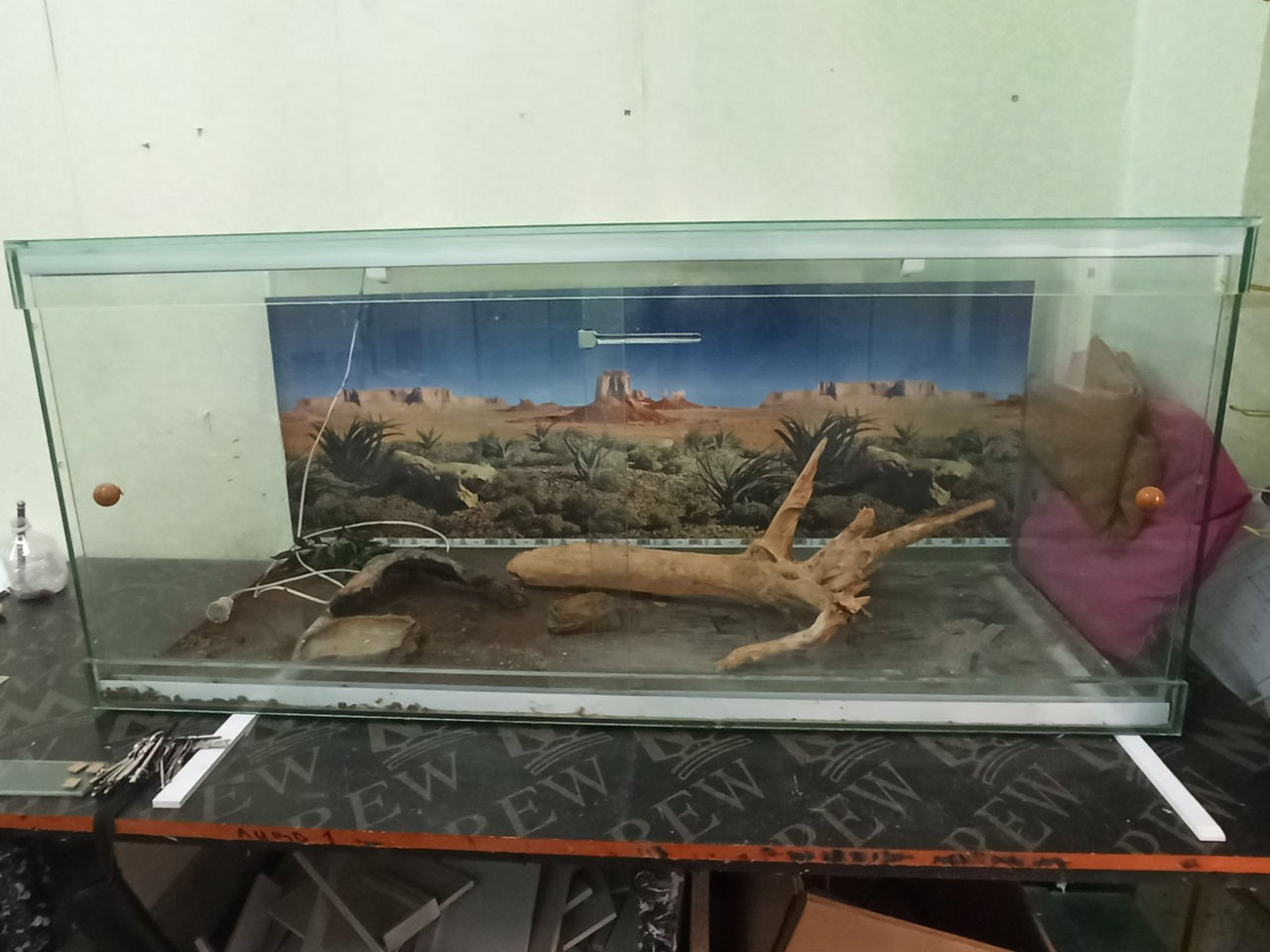 Terariu din sticla, uzat foto 1