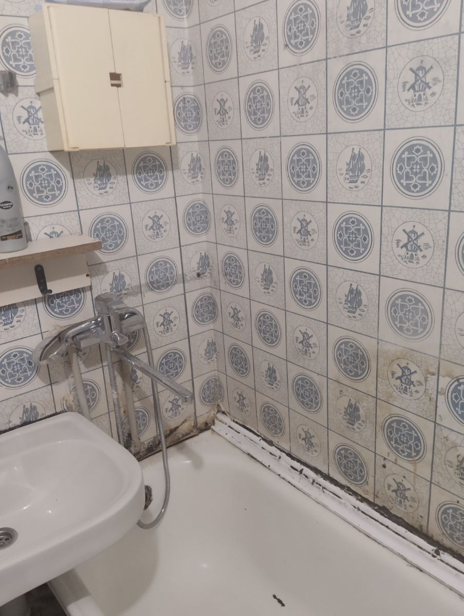 1-комнатная квартира,  Центр,  Яловены,  Яловены фото 1