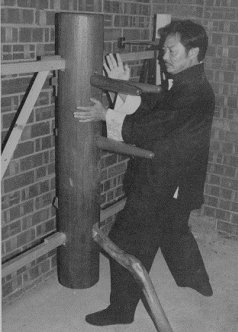Wing chun kung-fu ( китайский бокс) вин чун кунг-фу foto 1