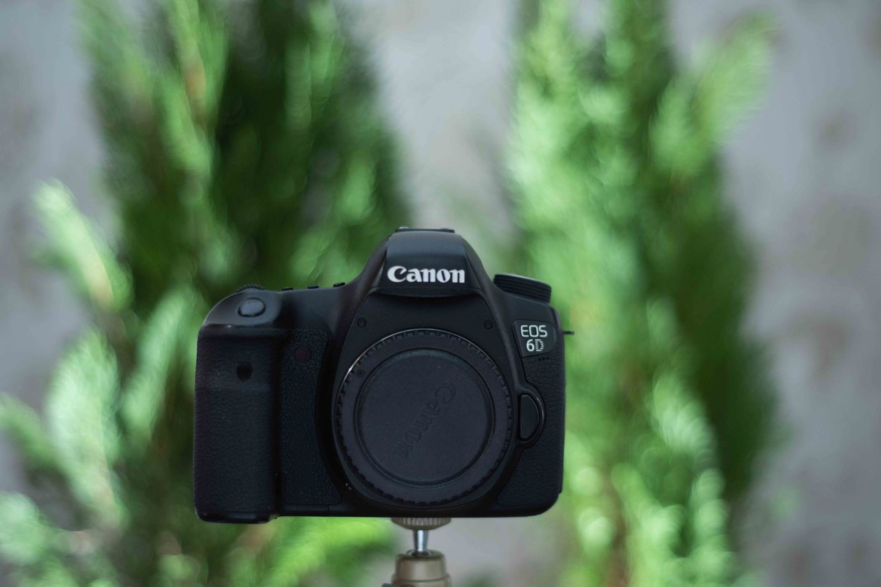 Canon 6D body