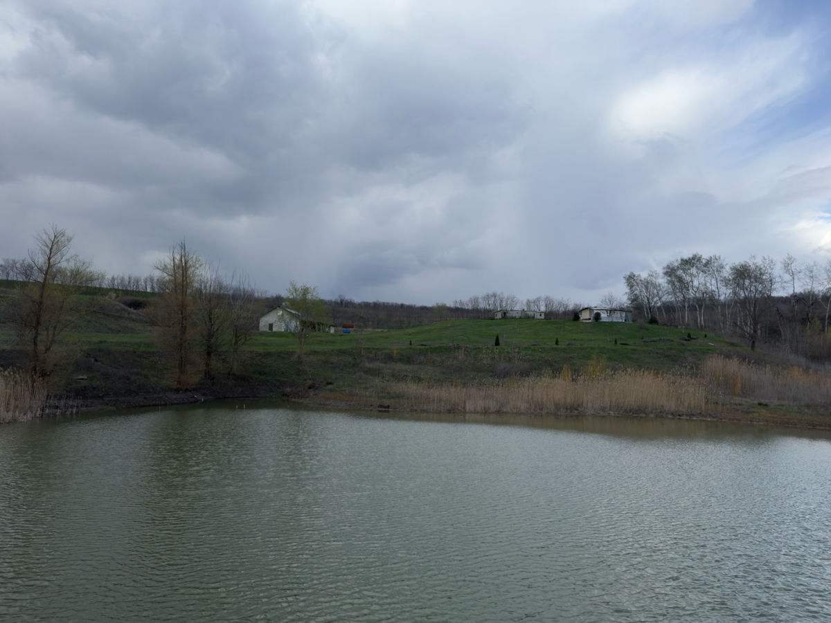 Teren agricol, Peresecina, 13 hectare