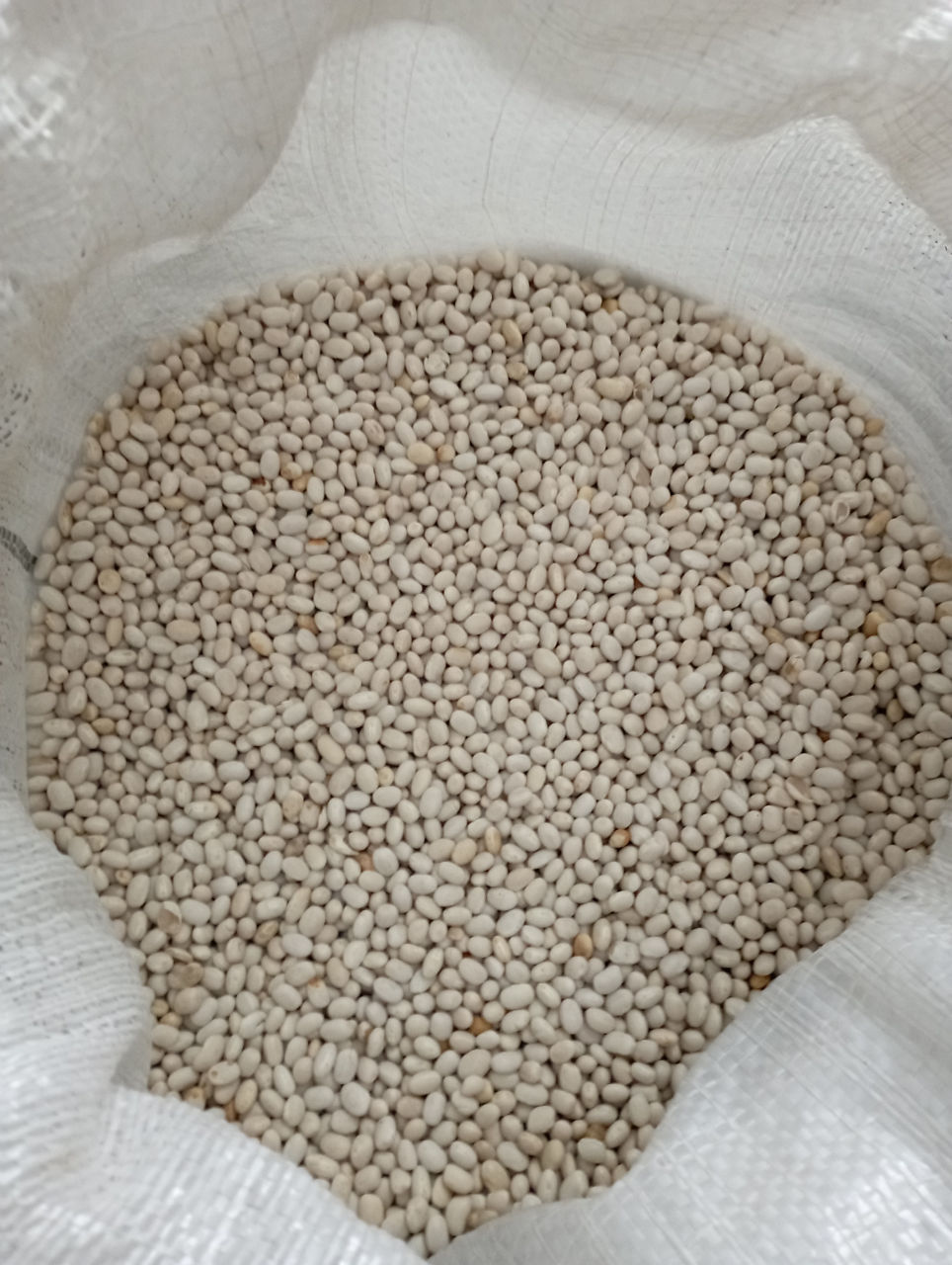 Продам фасоль 800 кг