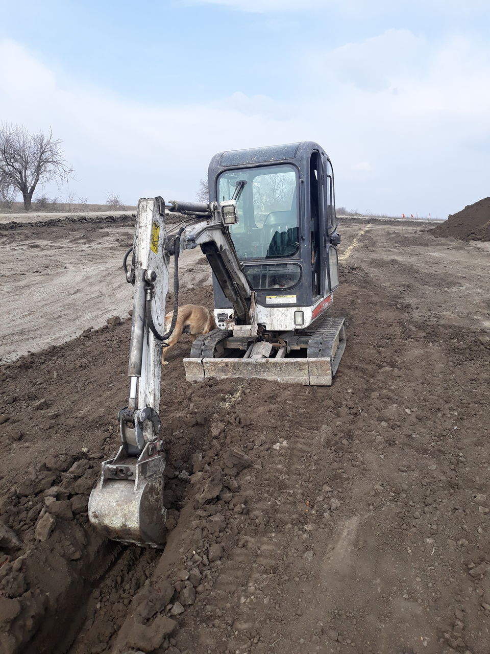 Servicii excavator,bobcat foto 1