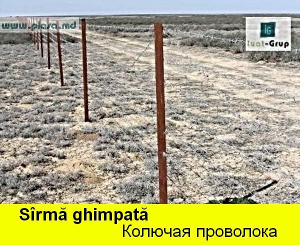 Колючая проволока в Молдове,сетка  металлическая в Молдове,заборы,сварные панели,столбы ж/бетонные фото 1