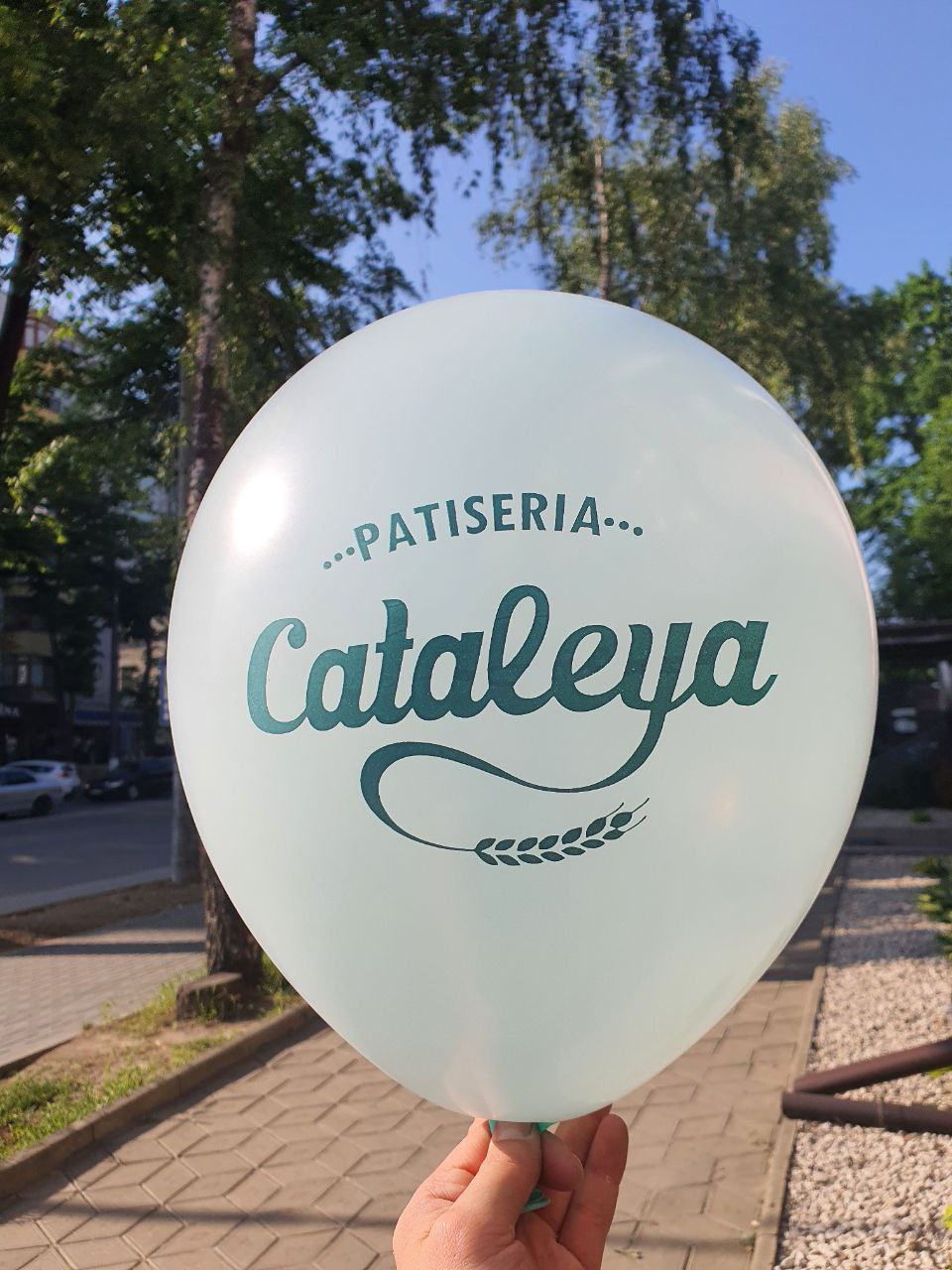 Deschidere Magazine. Baloane pentru Deschidere. Baloane cu Logo foto 8