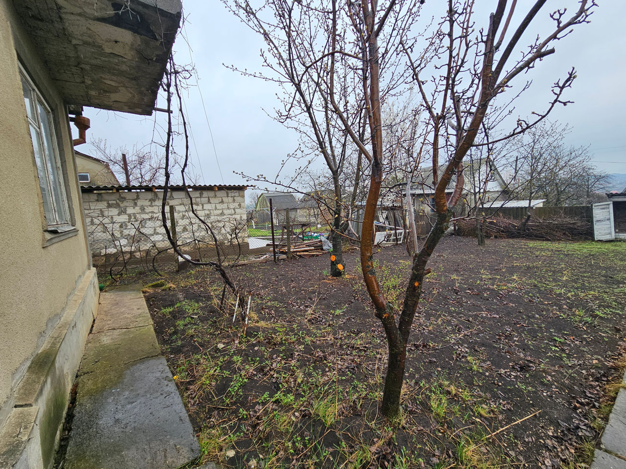 Продается участок с домиком в Дачном кооперативе "Дружба", г. Бельцы! фото 2
