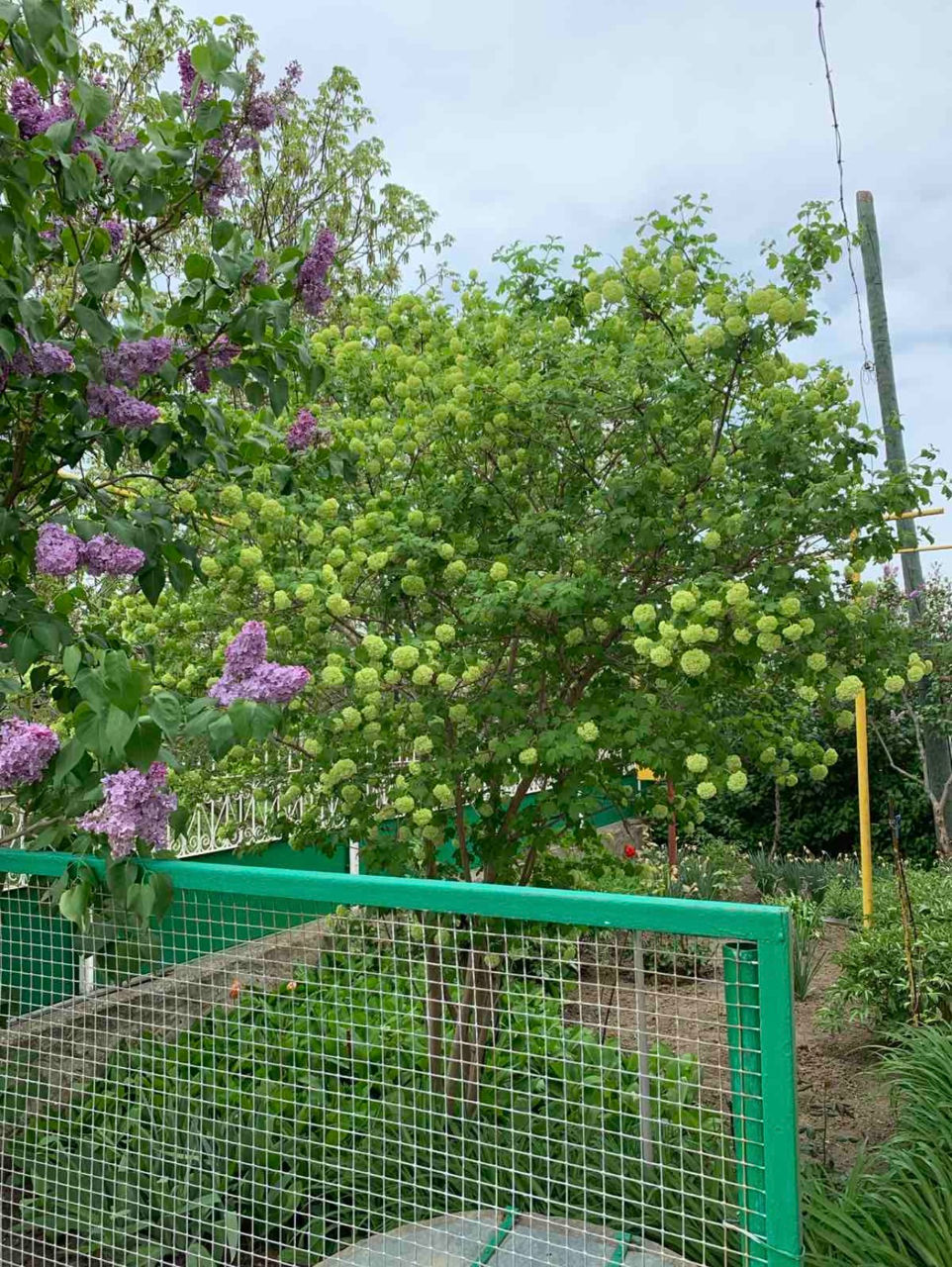 Продам дом в Чадыр-Лунге