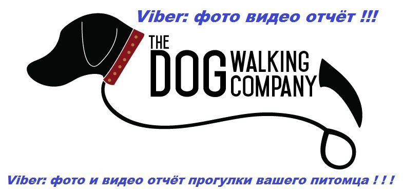 Городской сервис по выгулу собак, собака гуляка. Безопасный выгул собак. Viber WhatsApp Telegram. фото 8