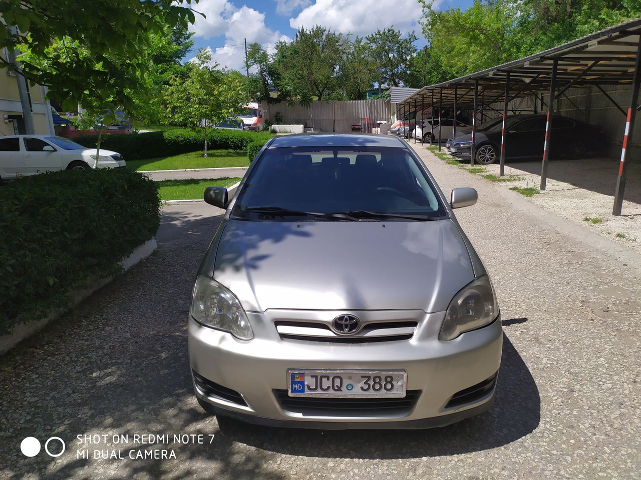 Chirie auto chisinau, rent a car, аренда авто 24/2