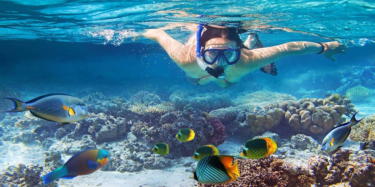 Отдых в Египет  -  Шарм-эль-Шейх и Хургада - вылеты из Кишинева -  All Inclusive - от 220 евро! foto 1