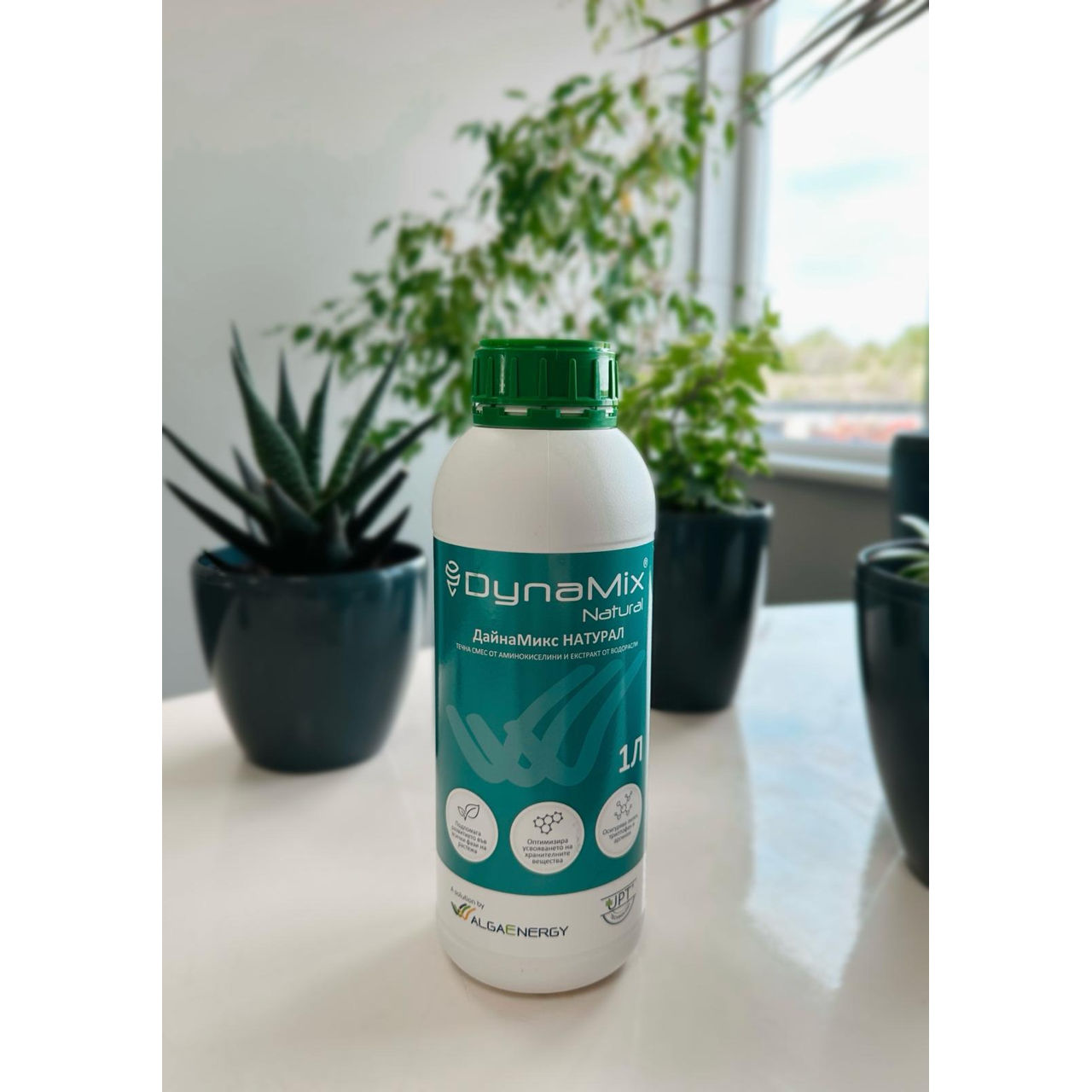 Microalge-dynamix, algaenergy foto 0