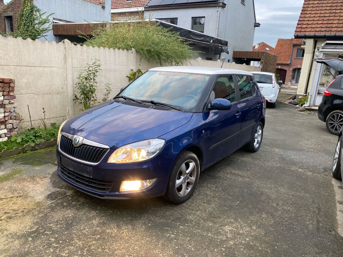 Volkswagen Caravelle foto 0