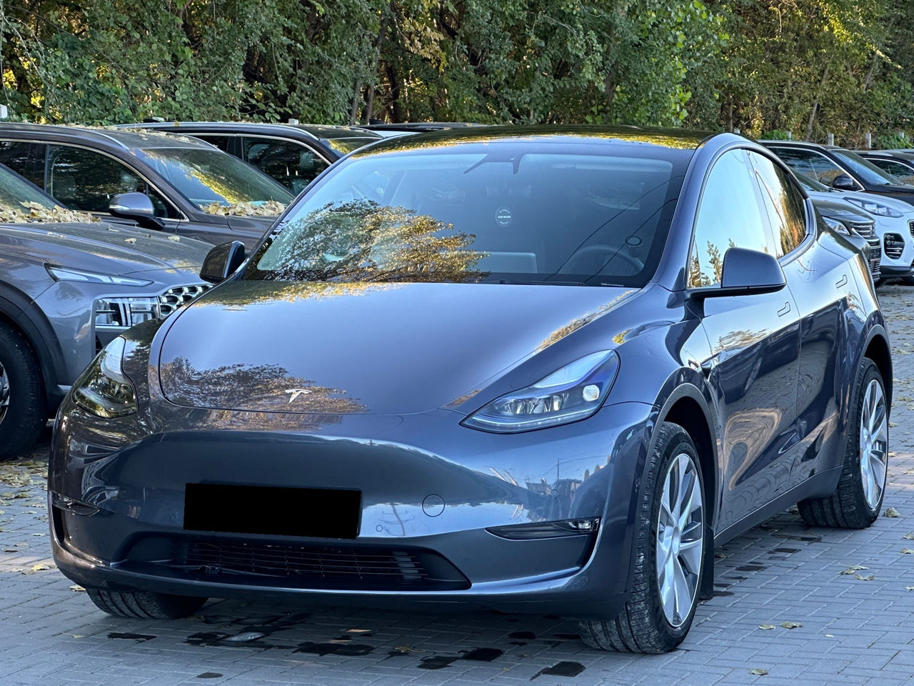Tesla Model Y foto 0