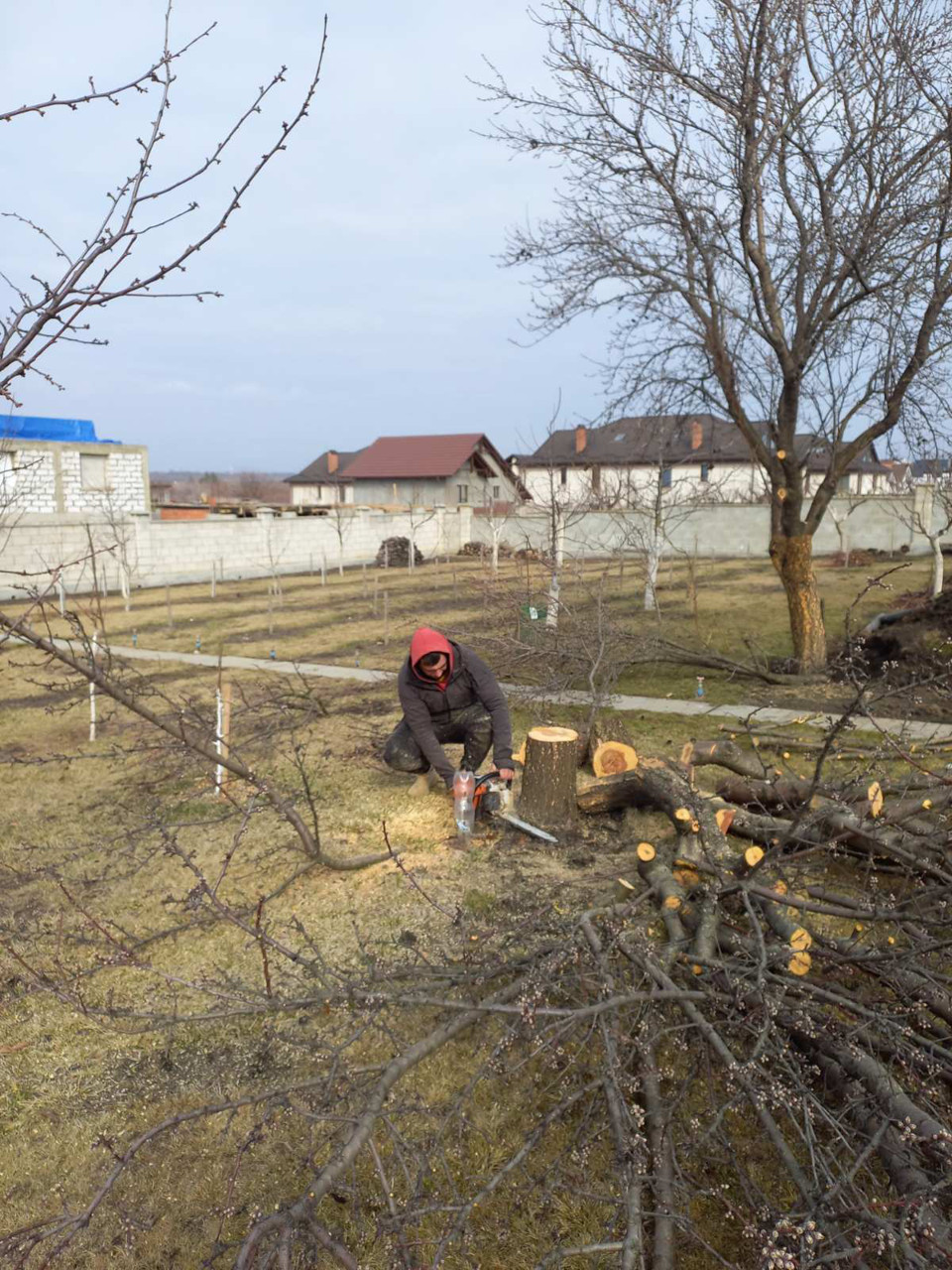 Servicii de tăiere copaci!!! Echipament modern, rapid si calitativ! foto 10