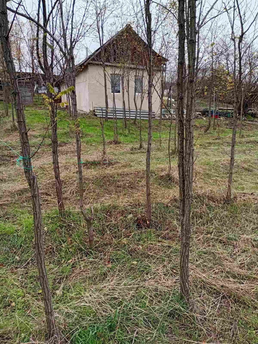 Дом с участком 2 км от Порт Молл