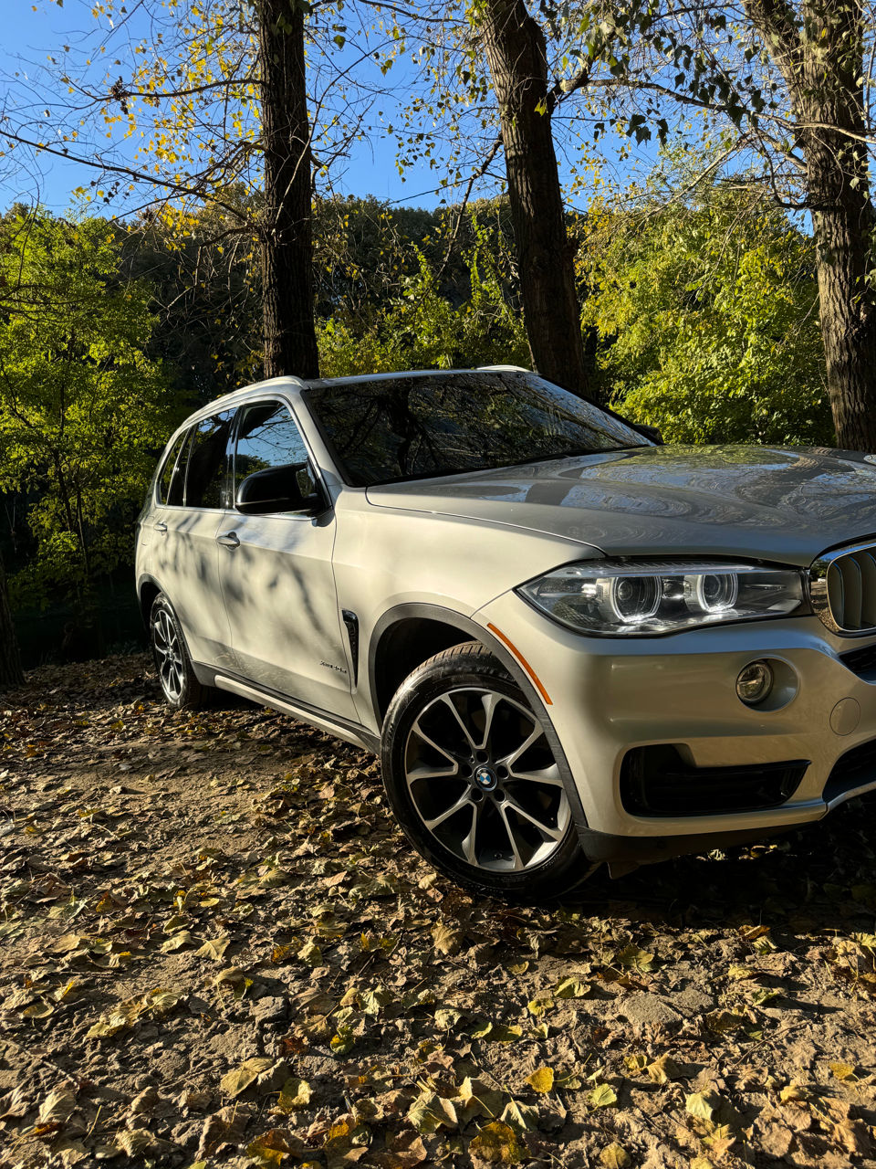 BMW X5 foto 6