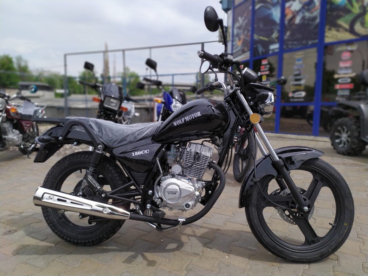 Wolf Motors Tiger 150 Promo
