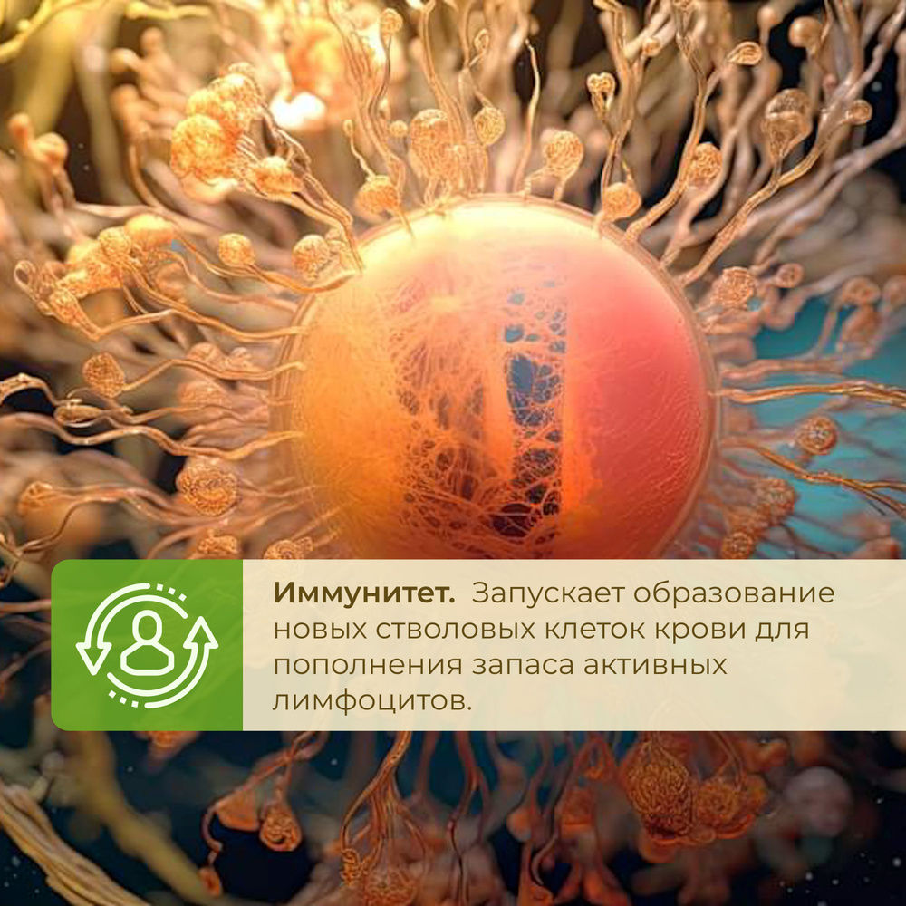 Новинка в Молдове-БАД Синтезит (Synthesit)! фото 6