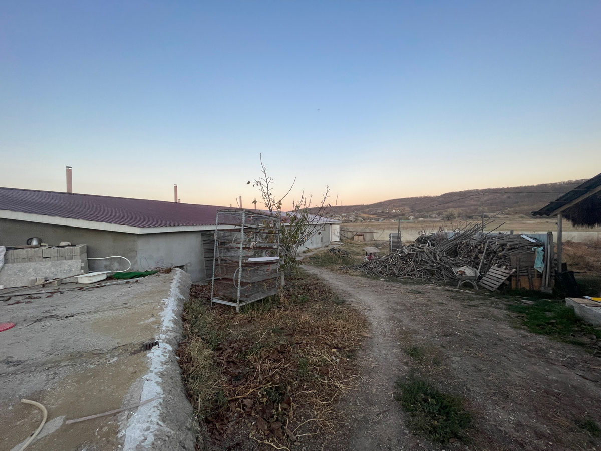 Se vinde afacere activa cu Srl Crescatorie de prepelite foto 7