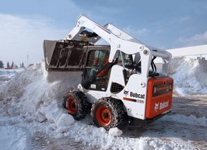 Bobcat si camaz foto 2