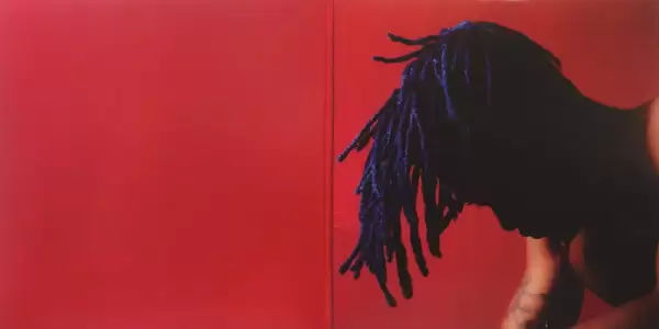XXXTentacion - ? (Vinyl, LP) фото 2