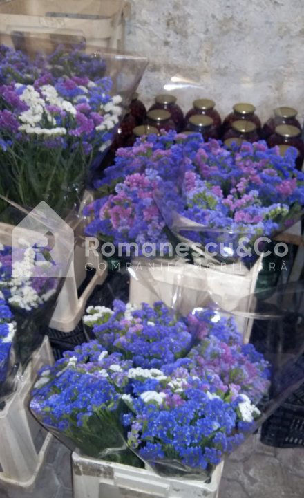 Vânzare afacere activă - florărie, Pănășești, str. Florilor! foto 5