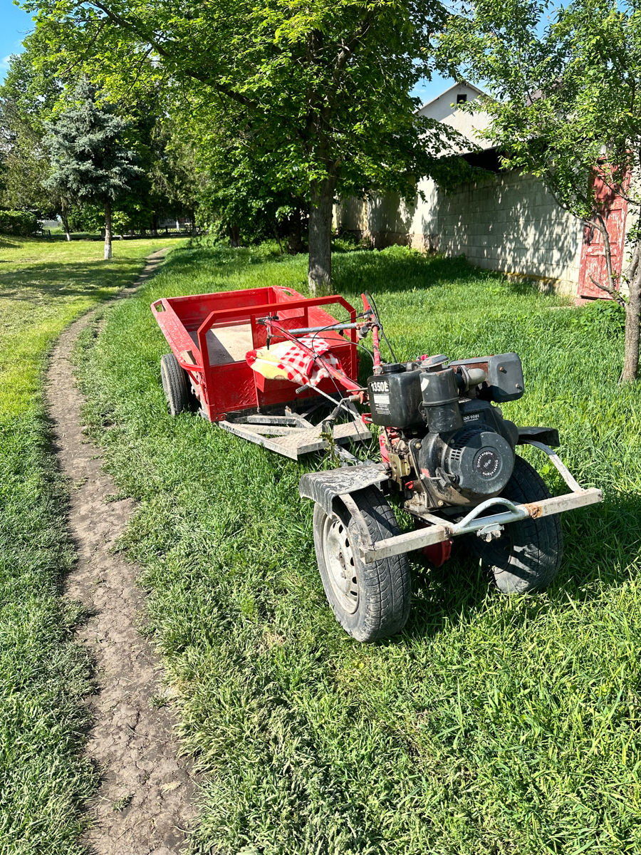 Motobloc Belarus 10hp diesel  foto 3