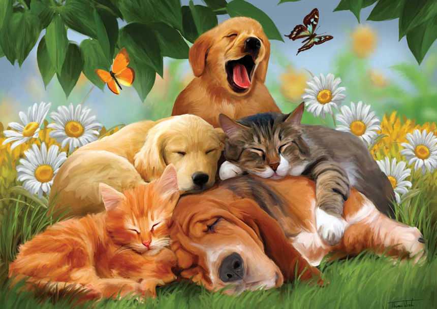 Картинки кошки собаки для детей