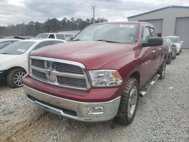 Dodge Ram фото 0