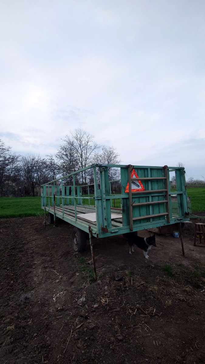 Продам пасеку. Срочно foto 2