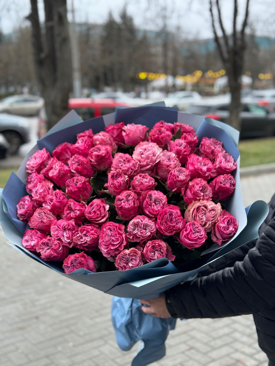 Trandafiri Olanda direct de la importatori. 1M inaltime / 40 lei /buc foto 1