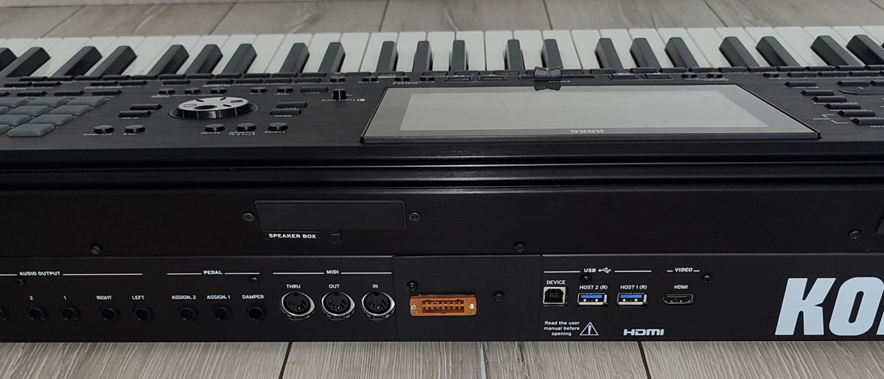 Korg PA-5 ieșire pentru pedaliera Korg EC-5 foto 0