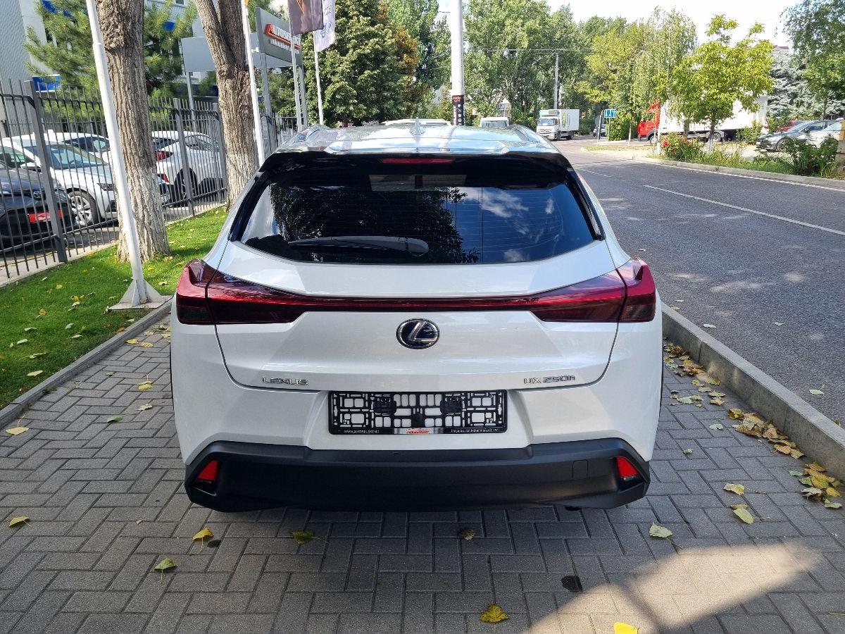 Lexus UX 2021 photo 6