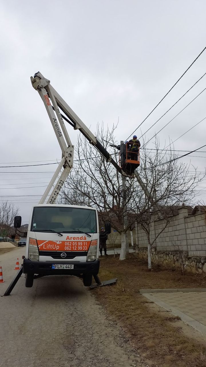 Servicii de tăiere copaci!!! Echipament modern, rapid si calitativ! foto 8