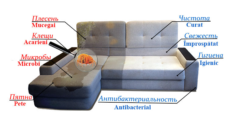 Curatare canapele, saltele, mocheta. химчистка мягкой мебели и ковролина, на дому foto 3
